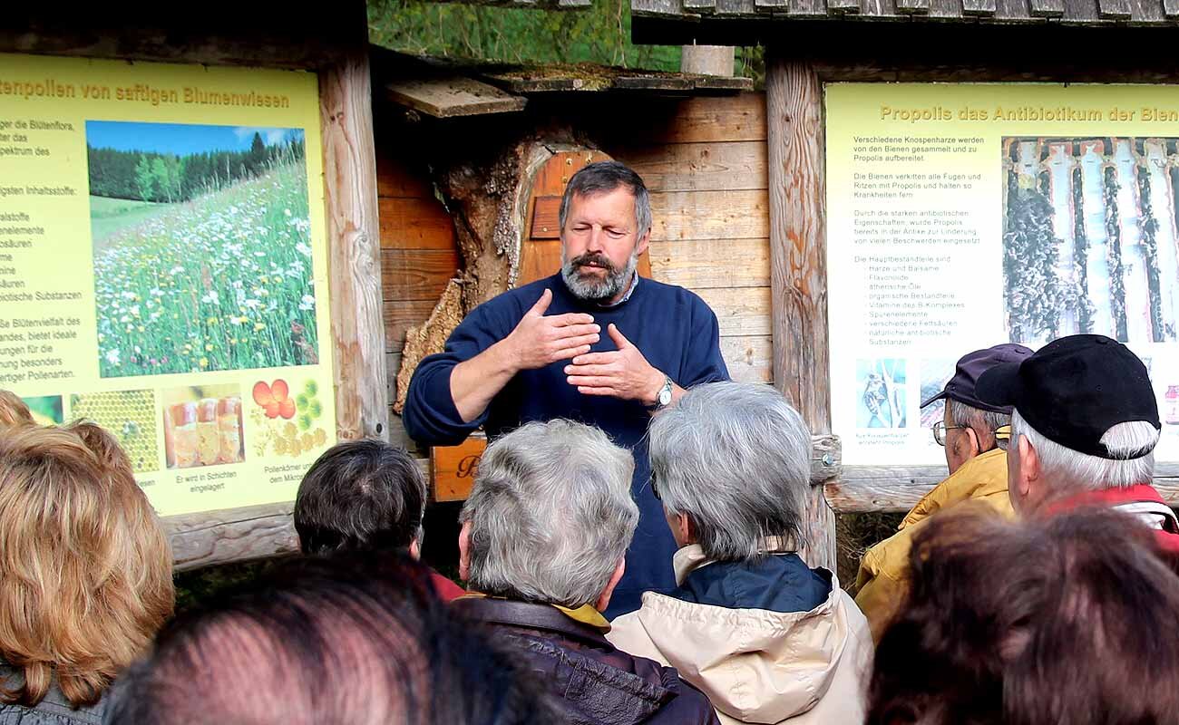 Über Bienen und Pralinen