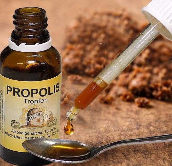 Propolis im Glas mit Pipette