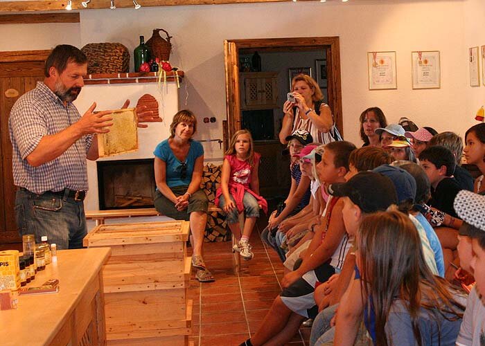 Sehen wie der Bienenstock von innen aussieht