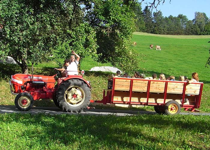 Eine Fahrt mit echten Porsche-Traktoren